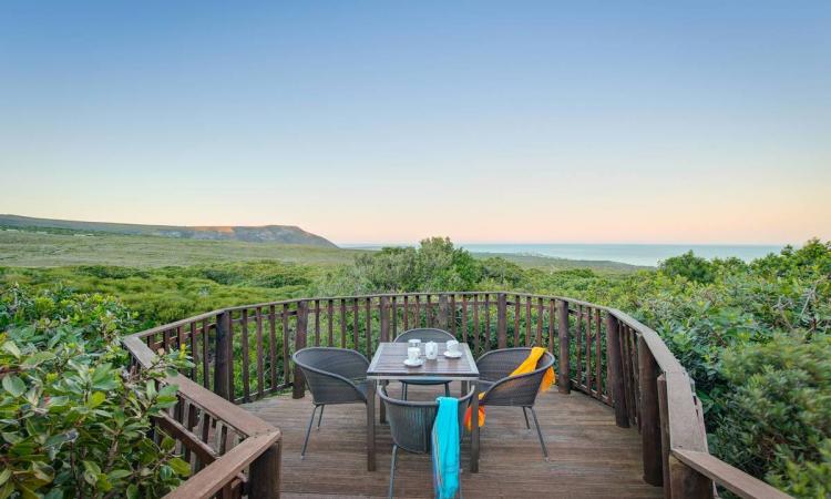 Why Grootbos Private Nature Reserve should be at the top of your eco-friendly travel list for 2019