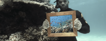 50 Minutes to Save the World - Youtube movie on conserving our oceans hit 1.1m views in 1 week