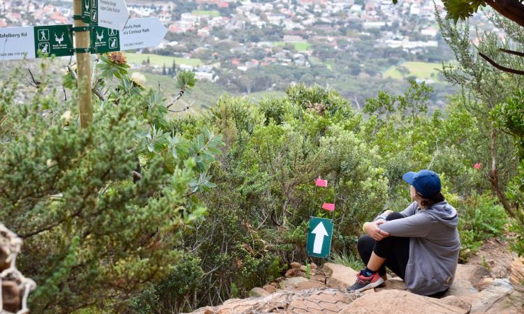 Table Mountain: What you need to know to take the cableway up and hike down