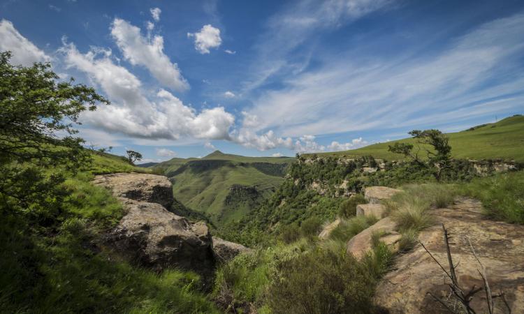 Path cleared for 26 nature reserves including the world’s smallest desert in KwaZulu-Natal to be legally recognised