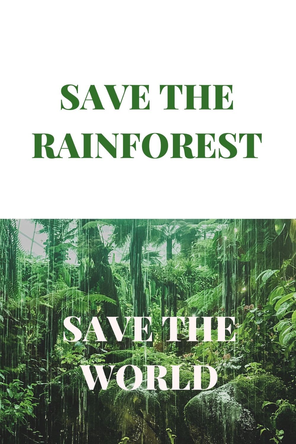 Climate and the rainforest - Rainforest Rescue