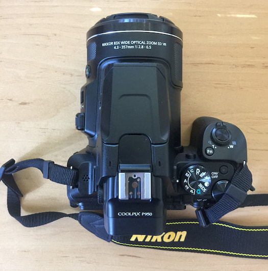 Nikon P950 Review for Wildlife and Bird Photography