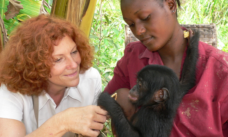 Saving our closest relatives: An Interview with the world’s only Bonobo Sanctuary