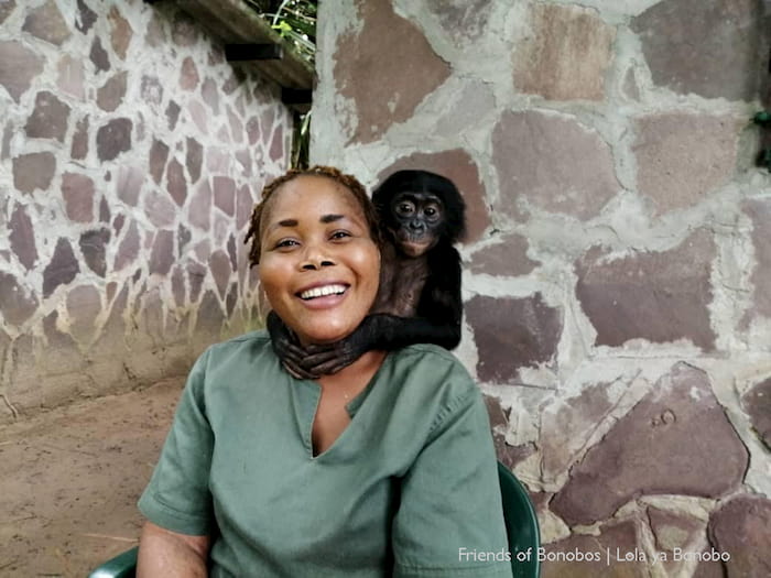 Mama S’arrive and baby bonobo, Tshimbulu. Photo: Lola ya Bonobo Image