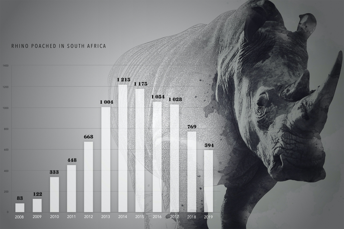 Wildlife zones to protect all of South Africa’s rhino