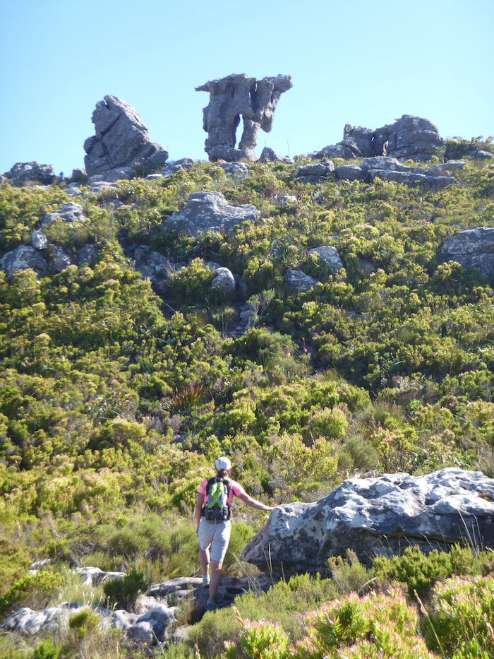 Approaching the distinctive Camel Rock on Constantia Corner