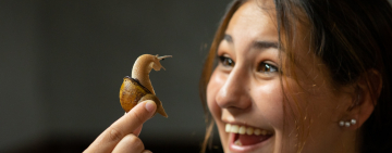 Alternative to meat protein: opulent escargot or humble snail as a sustainable protein 