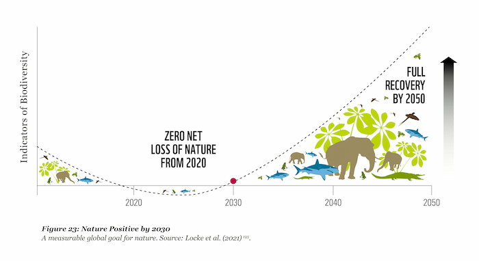 Nature positive by 2050