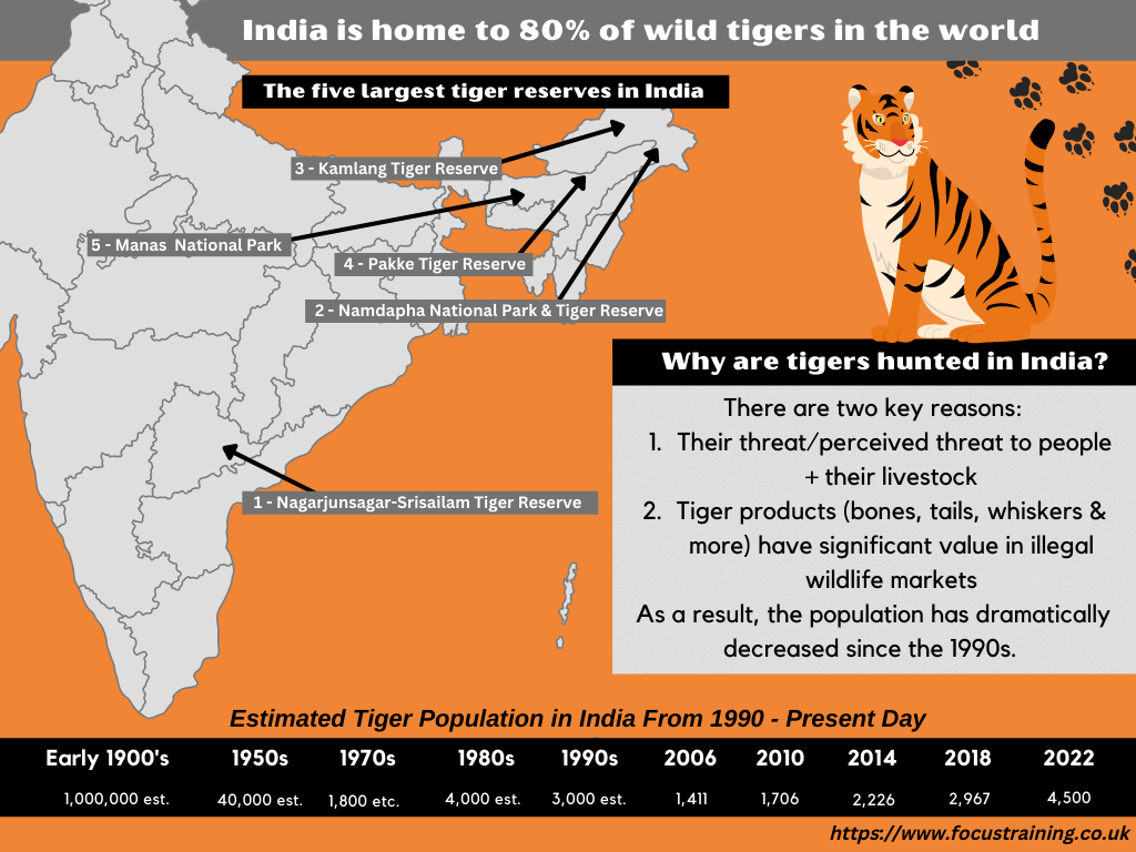 tiger population info-graphic