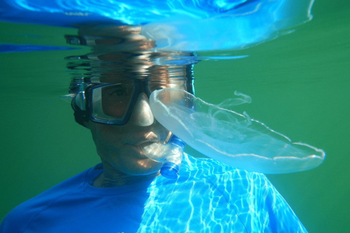 The Changing of the Jellies: Snorkeling in Palau’s Jellyfish Lake