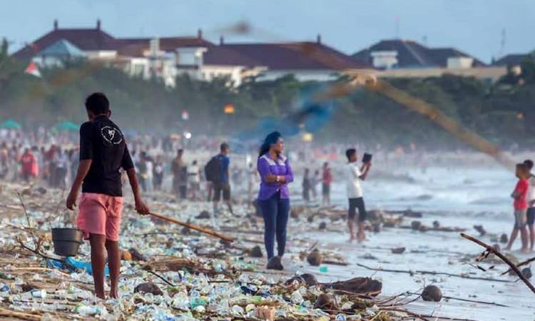 Plastic pollution WWF