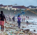 WWF calls for a global ban on ‘harmful and unnecessary’ single-use plastic items
