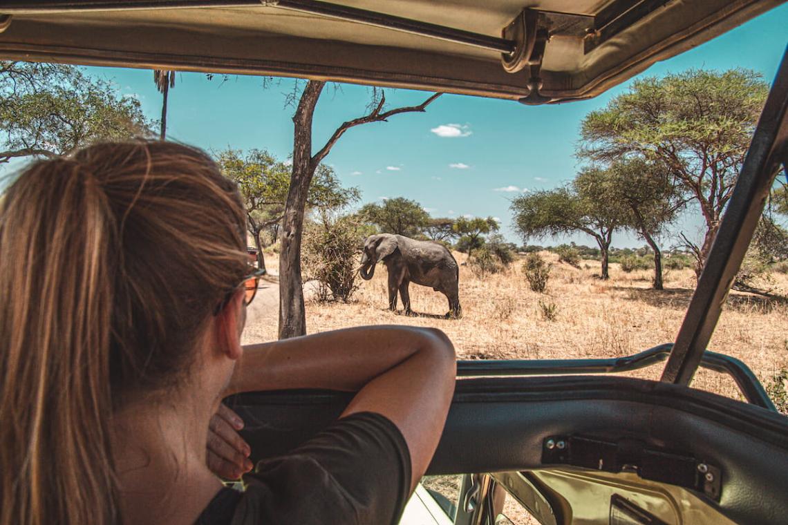 Medical Considerations When Travelling on Safari in Africa