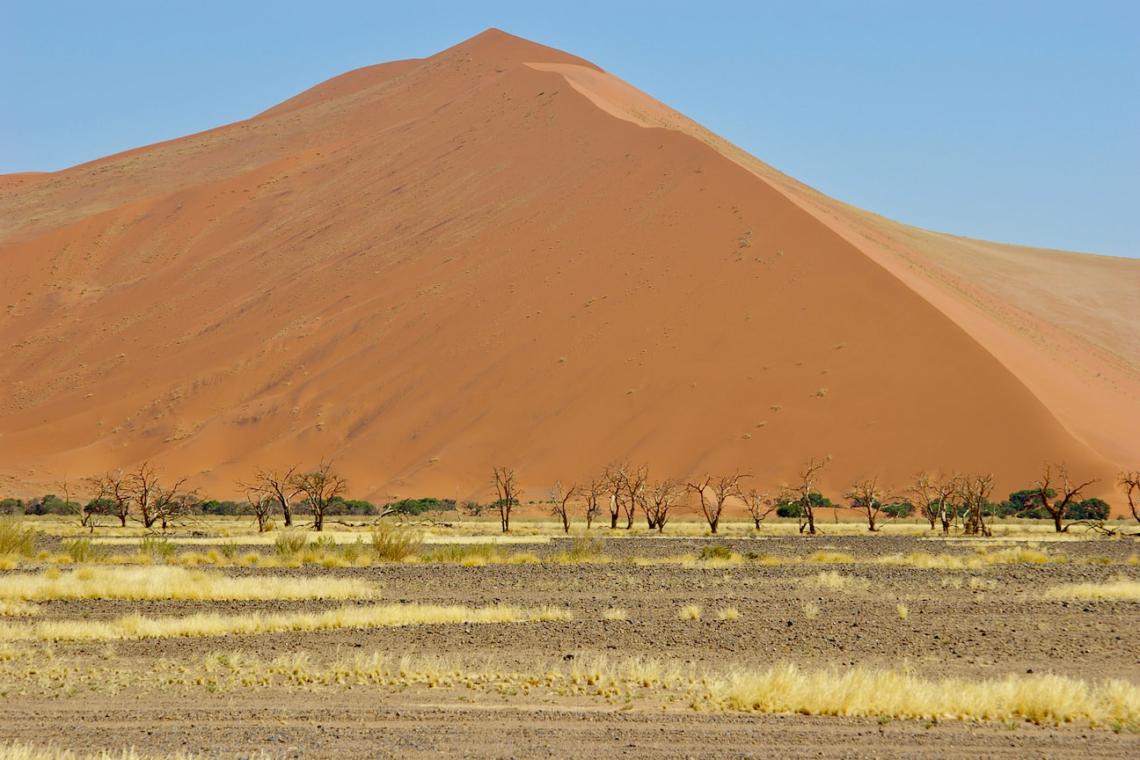 Climate Change Desertification – Impacts on Fragile Ecosystems