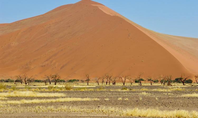 Namibia Desertification