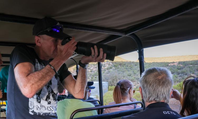 Nikon Z6ii Review for Wildlife Photography on Safari