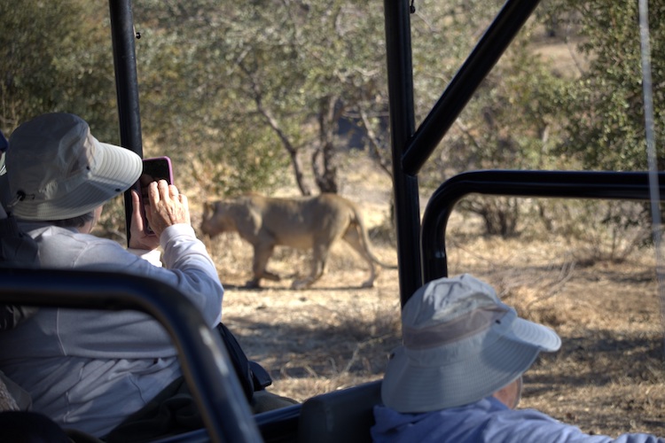 Canon Powershot Zoom Wildlife Photography