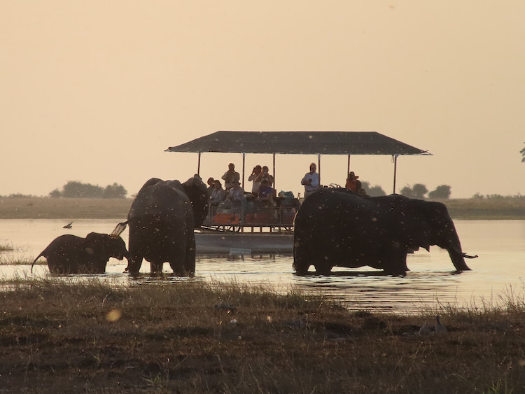 Canon Powershot Zoom