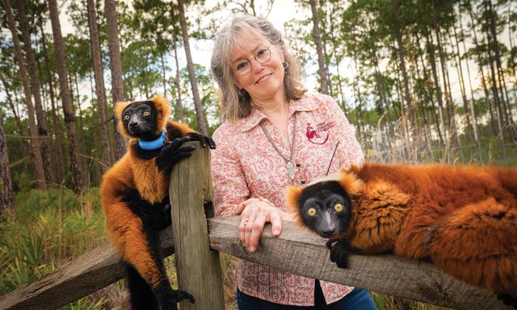 Lemurs of Madagascar Penelope Bodry-Sanders