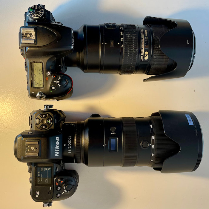 nikon z8 for bird photography