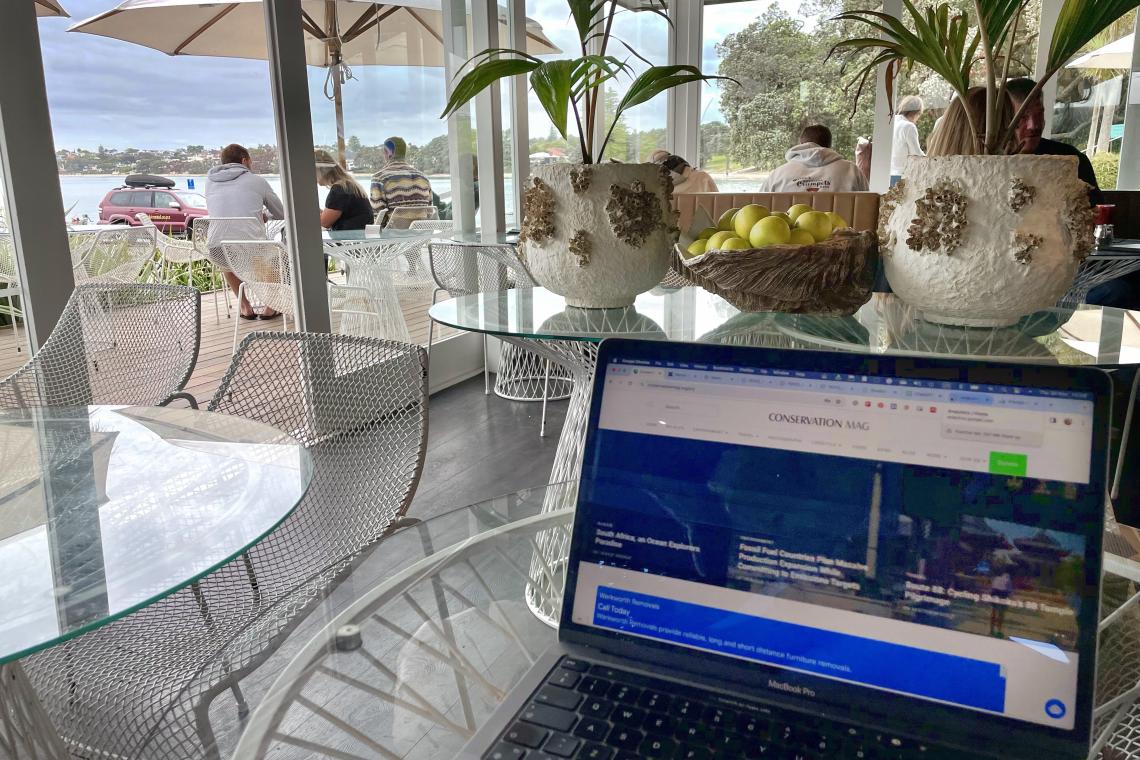 Sustainability Blogging Digital Nomad