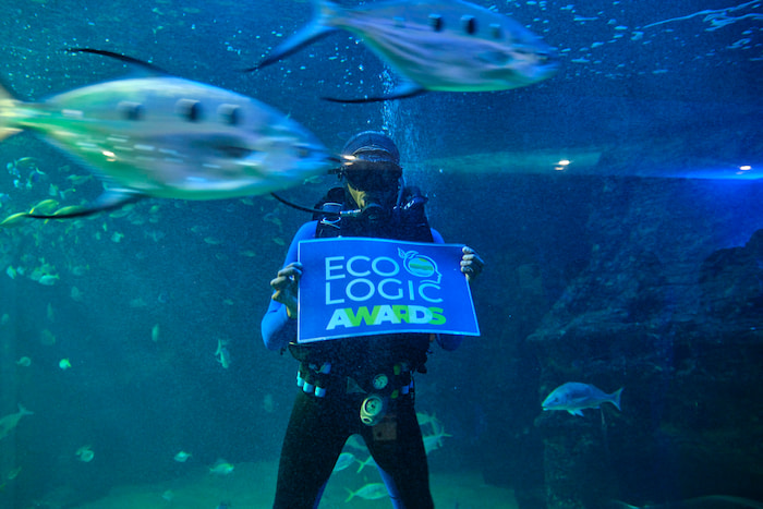 eco logic awards style