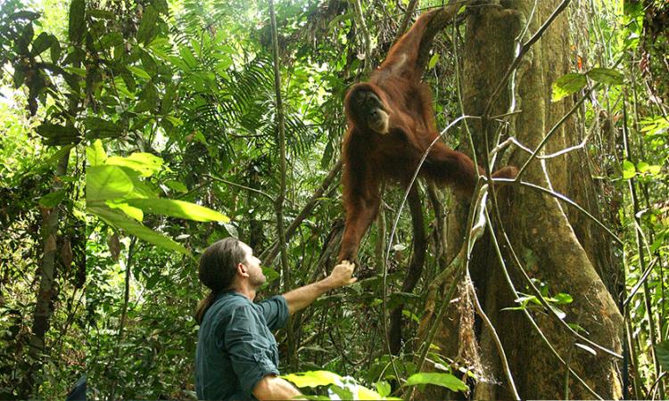 Saving the Forest with Love: Conversation with Leif Cocks from the Orangutan Project