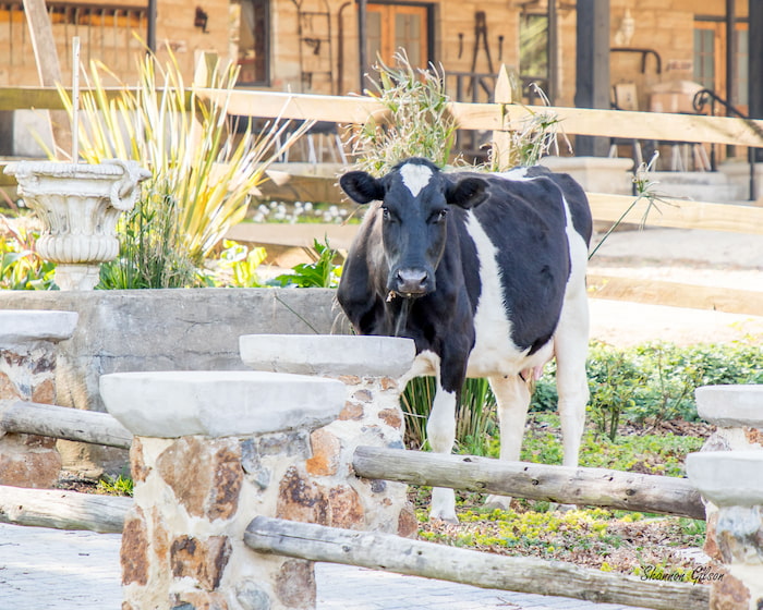 Griqualand Express Hike