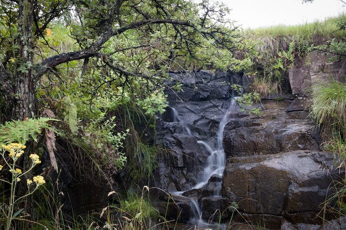 Griqualand Express Hike