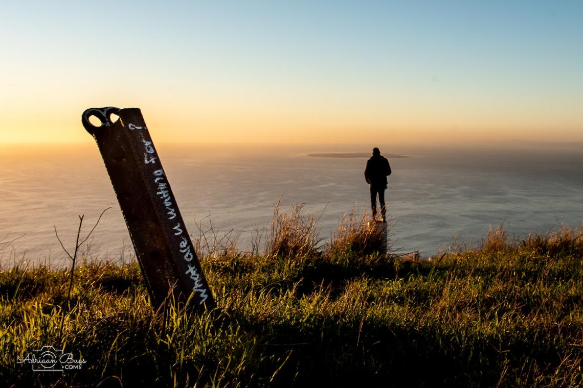 editorial guidelines submit your article