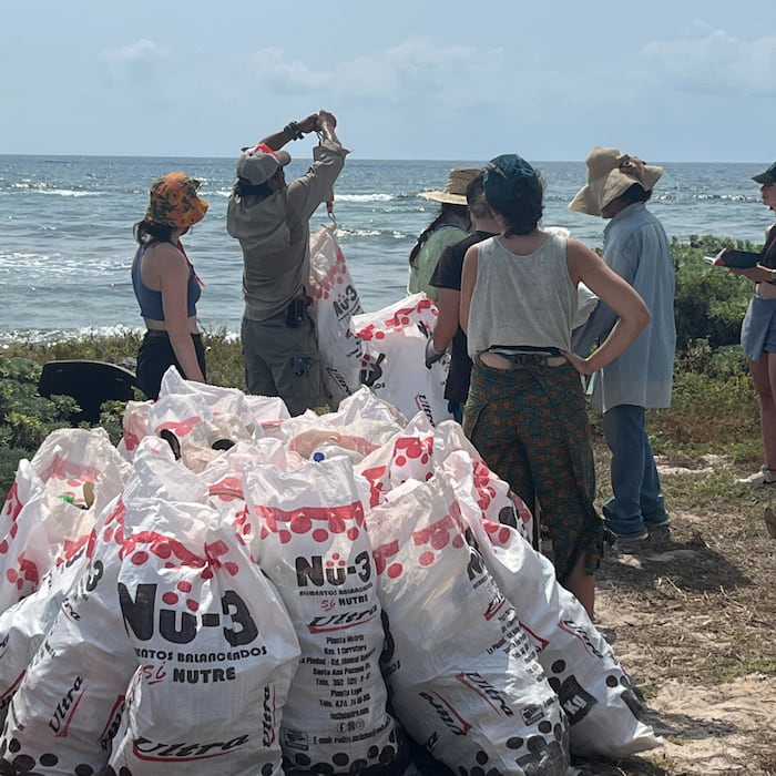 Meet the Conservationist Protecting Yucatán's Forgotten Sea Turtle ...