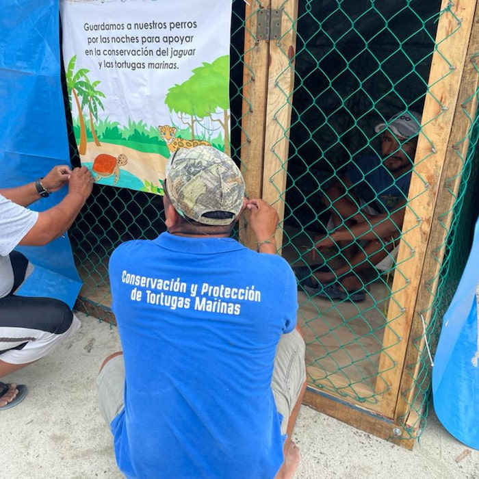 Aak Mahahual, in partnership with the International Fund for Animal Welfare, built 145 dog cages to help reduce conflict between jaguars and local dogs–saving the lives of both species. Photo provided by Víctor Rósales. Aak Mahahual