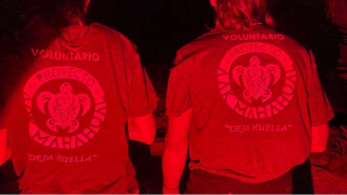 Travellers and locals volunteer with Aak Mahahual to patrol beaches during the sea turtle nesting season. Their presence on the beaches is often enough to deter illegal hunting and egg harvesting. Photo by Víctor Rósales @vicwildphotography volunteers turtle conservation
