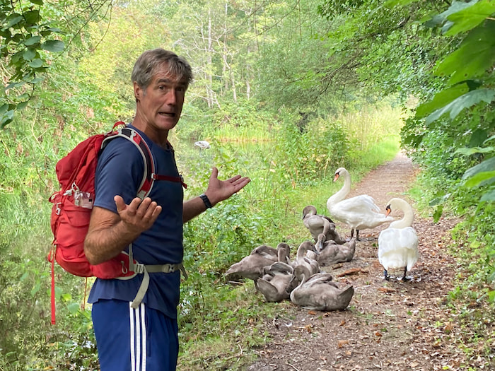 Offa’s Dyke Hike Swans
