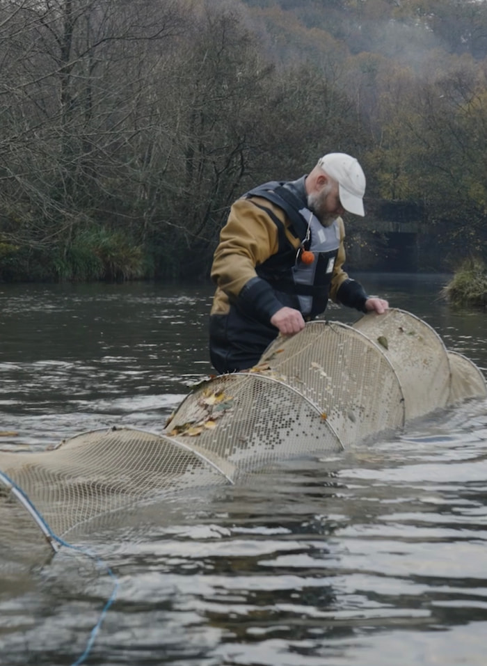 arctic charr fish survey ecosystem