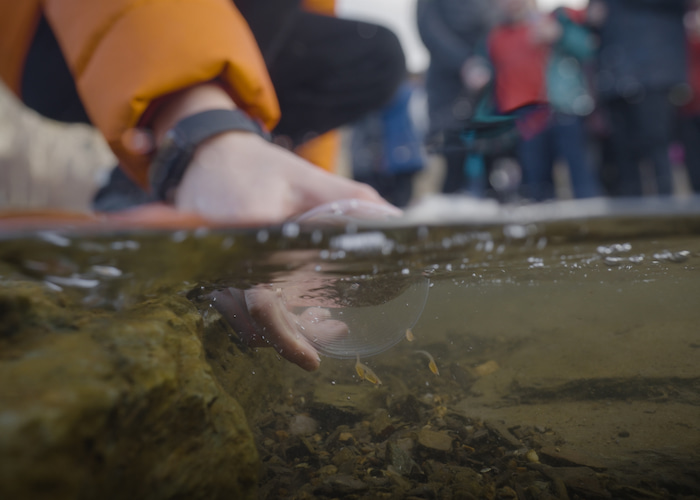 water testing arctic charr habitat