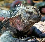 From Idea to Execution: Building a Sustainable Oasis in the Galapagos