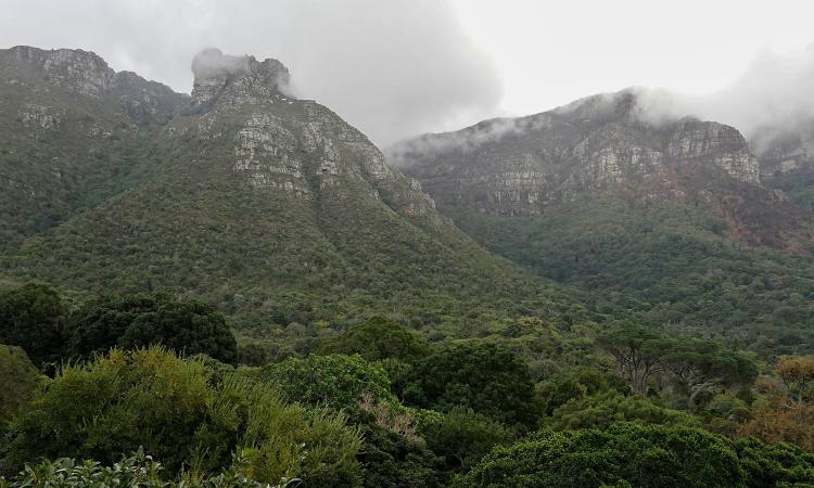 Table Mountain Kirstenbosch Gardens View