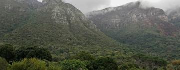 A Tour Through Cape Town's Kirstenbosch Gardens: A Celebration of Biodiversity