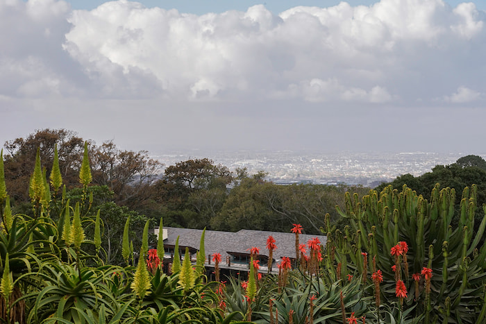 Kirstenbosch view of city of Cape Town