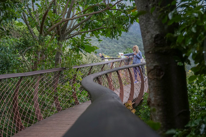 The Boomslang Kirstenbosch Gardens