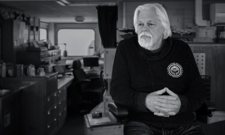 Paul Watson Arrested in Greenland