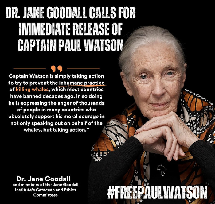 Jane Goodall Free Paul Watson