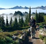 The Healing Power of Birds and Birdsongs: Boost Your Mental Health Naturally