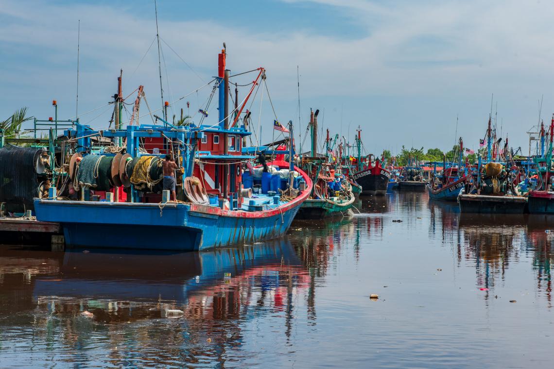 Shark Meat in Sekinchan: Balancing Tradition and Conservation in Malaysia