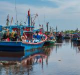 Shark Meat in Sekinchan: Balancing Tradition and Conservation in Malaysia