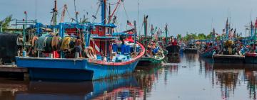 Shark Meat in Sekinchan: Balancing Tradition and Conservation in Malaysia