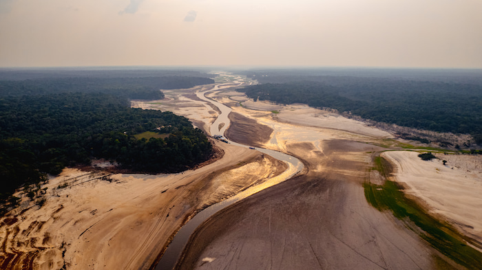 Amazon river WWF living planet report 2024