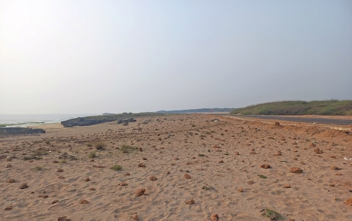 spider Pterotricha strandi habitat under threat