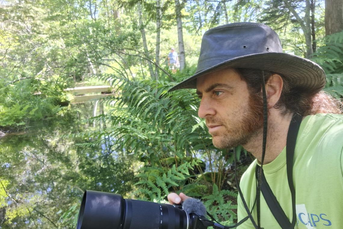 Lessons from a Beginner Bird Photographer: Capturing the Beauty of Nature Through the Lens